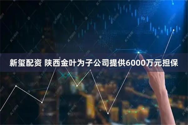 新玺配资 陕西金叶为子公司提供6000万元担保