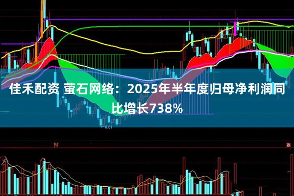 佳禾配资 萤石网络：2025年半年度归母净利润同比增长738%