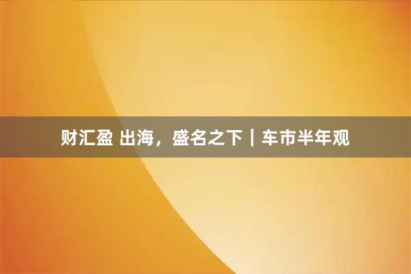 财汇盈 出海,盛名之下|车市半年观