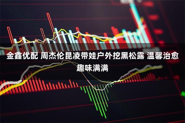 金鑫优配 周杰伦昆凌带娃户外挖黑松露 温馨治愈趣味满满